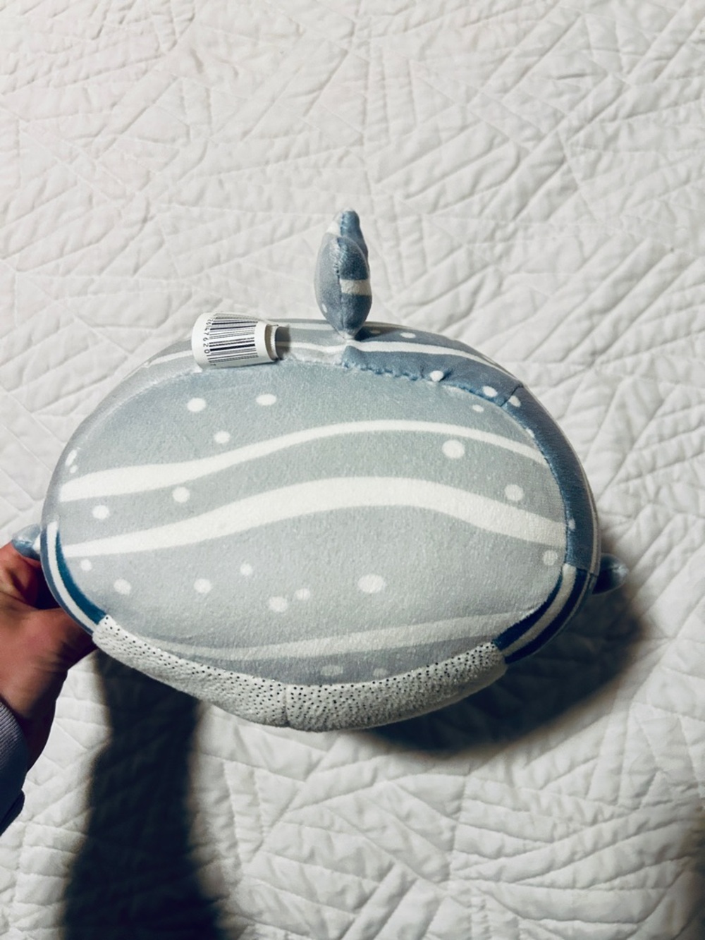Sachie Shark Squishmallow Plush - Picture 3 of 5